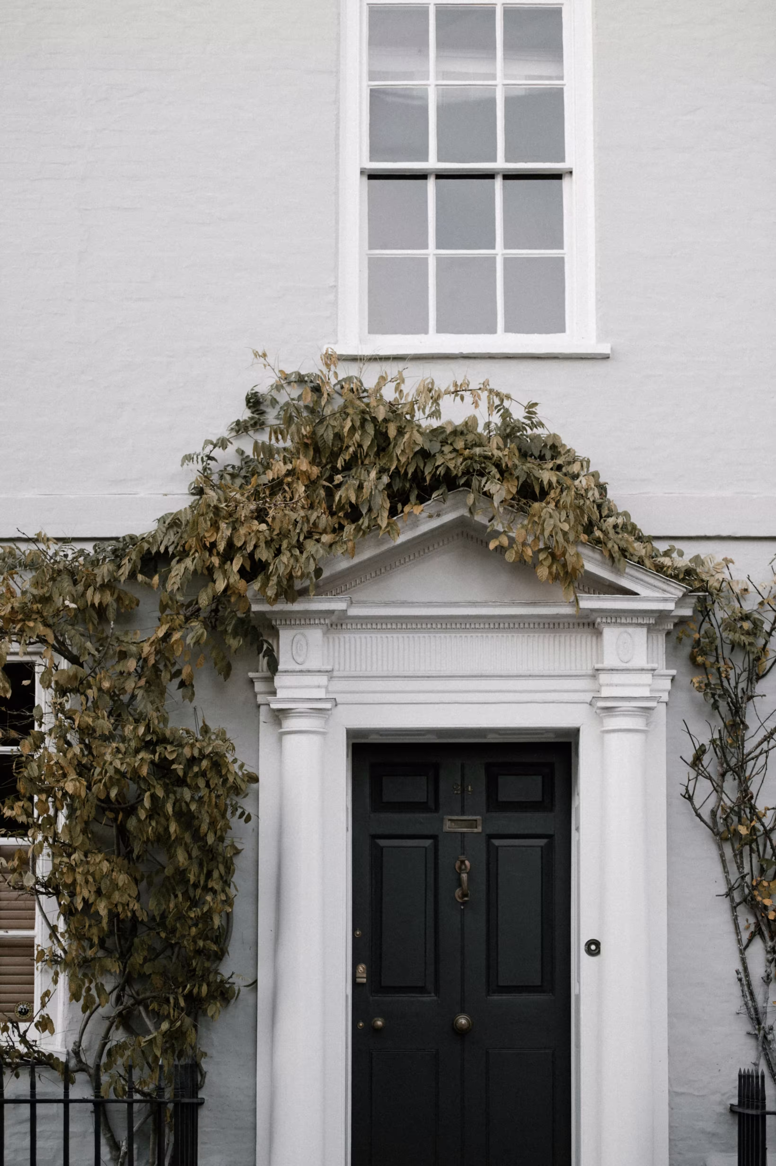 Professional profile ecosystem